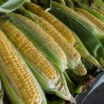China is increasing corn import, US-China trade war could help the situation