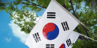 Central bank of South Korea takes steps to implement digital currency 