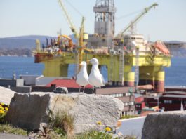 OPEC+ group agrees to light increase in oil production from January Oil rig