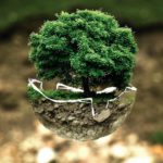 يجب أن يتضاعف إنتاج النحاس من أجل تحقيق الأهداف المناخية climate change, tree, eco, ecology, green