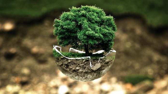 climate change climate change, tree, eco, ecology, green