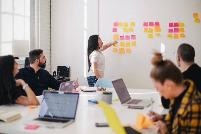 business, startup, company business, startup, company