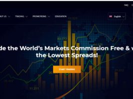 Triton Capital Markets review (2021)