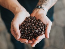 Hay una escasez extrema de café. Esto se debe a las fluctuaciones climáticas extremas. coffee, coffee beans
