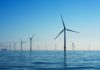wind, wind energy, wind farms