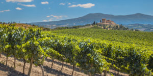 Castle,Overseeing,Vineyards,With,Rows,Of,Grapes,From,A,Hill | ForexMag Κάστρο που επιβλέπει αμπελώνες με σειρές σταφυλιών από έναν λόφο σε μια καθαρή καλοκαιρινή μέρα