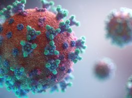 virus, corona, omicron