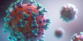virus, corona, omicron