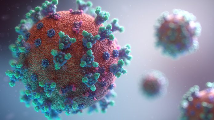virus, corona, omicron virus, corona, omicron