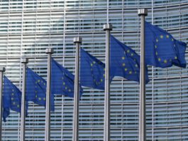 El aplazamiento de Nord Stream 2 no pondrá en peligro el suministro de productos básicos energéticos a la UE EU flag