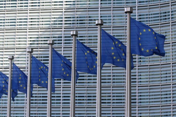 EU-vlajka EU flag