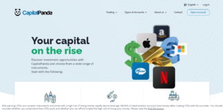 Capital Panda Website