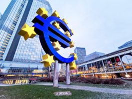 EBC będzie podnosił stopy procentowe małymi krokami w przyszłym roku, sugeruje członek Rady Prezesów