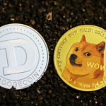 Dogecoin the Second Most Popular Crypto in the US behind Bitcoin with a 42% Awareness Rate dogecoin, crypto, cryptocurrency, coin