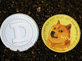 dogecoin, crypto, cryptocurrency, coin