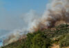 Bloomberg: Widespread fires in Brazil likely to drive up sugar prices flame