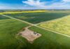 China investigates Canadian canola imports in response to Canadian EV tariffs China will investigate Canadian canola imports for dumping in response to Canada's 100% tariff on Chinese EVs, after a rise in exports to China.