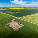 China will investigate Canadian canola imports for dumping in response to Canada's 100% tariff on Chinese EVs, after a rise in exports to China.
