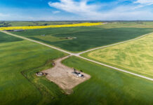 China investigates Canadian canola imports in response to Canadian EV tariffs China will investigate Canadian canola imports for dumping in response to Canada's 100% tariff on Chinese EVs, after a rise in exports to China.