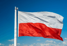 Allegro Boosts Adjusted Profit by 24 Percent in the Quarter and Improves Outlook Poland