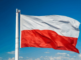 Az Allegro 24 százalékkal növelte kiigazított nyereségét a negyedévben és javította kilátásait Poland