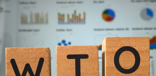 WTO Says Global Trade Is at a Critical Point and Needs Reform WTO